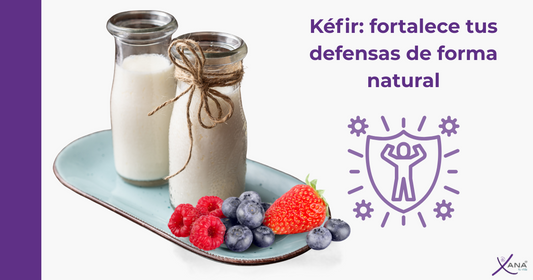 Kéfir y Sistema Inmunológico: Cómo Fortalecer tus Defensas de Manera Natural