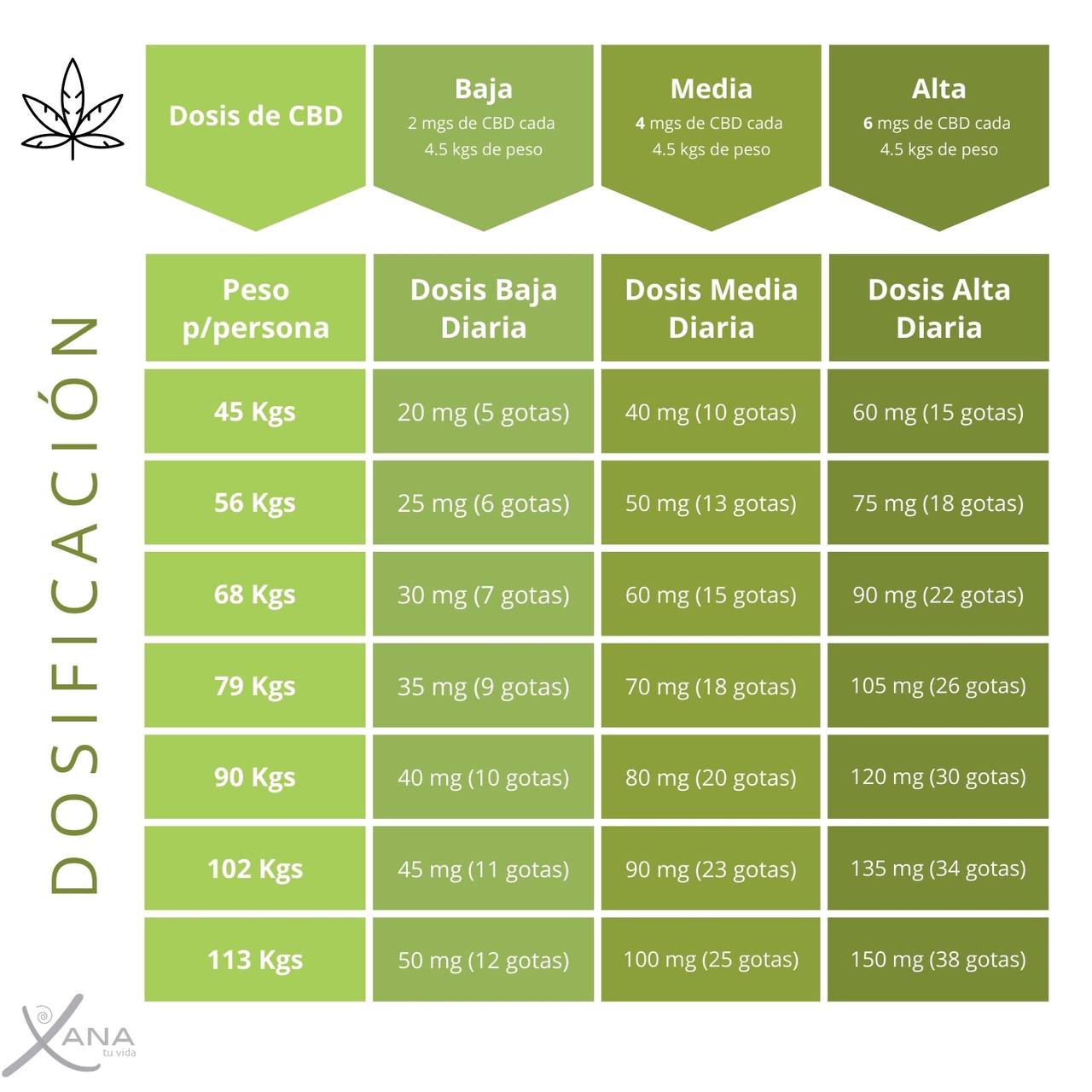 Drops Aislado Menta - Frescura Natural para tu Bienestar