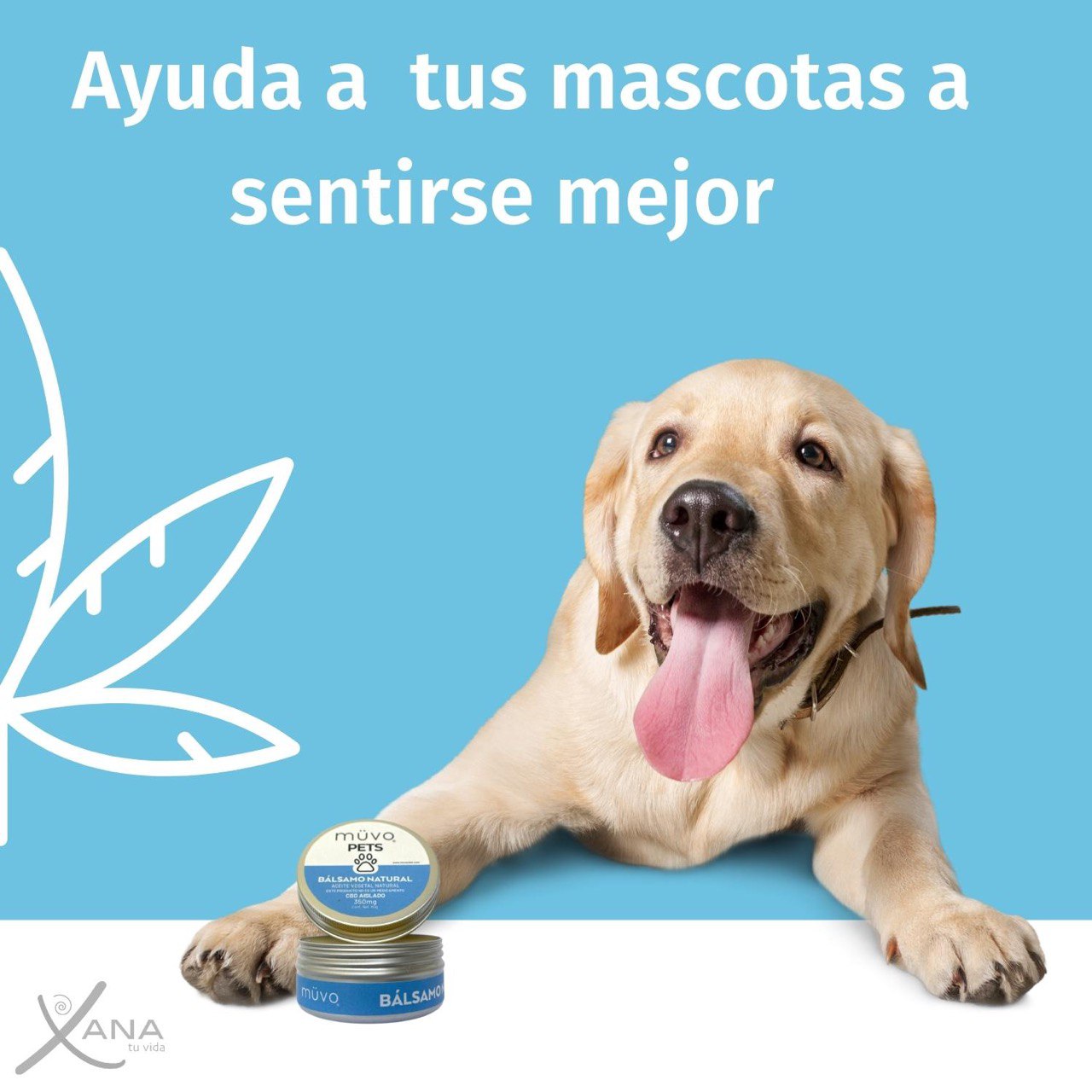 Bálsamo Pets - Cuidado Natural para Tu Mascota