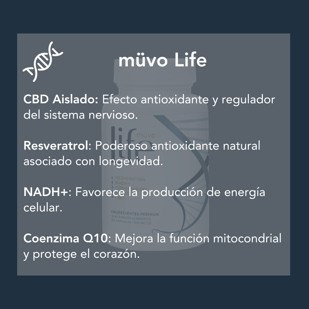 Müvo Life – Cápsulas de Resveratrol + CBD Aislado + NADH+ (60 cápsulas) | Energía, Vitalidad y Protección Celular