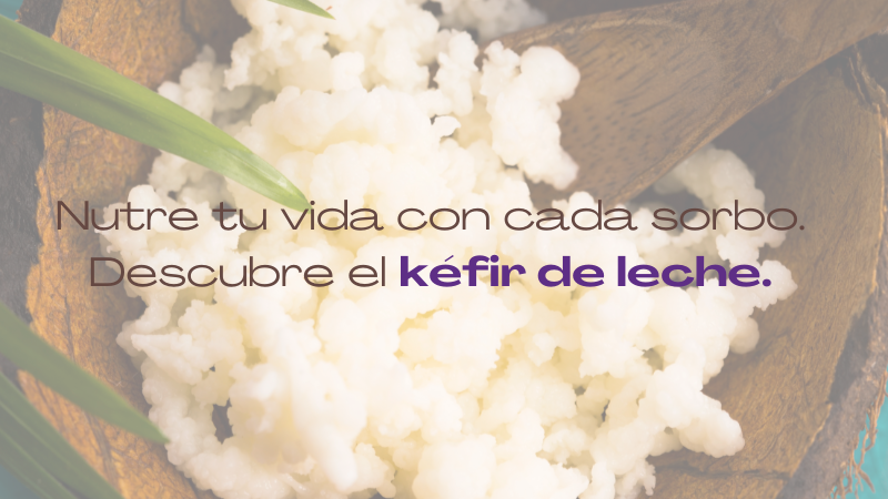 Kéfir de Leche: Un Tesoro Probiótico para la Salud Integral