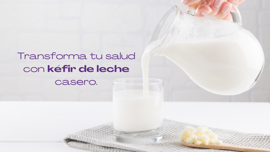 Descubre el Kéfir de Leche: Guía Básica para Principiantes