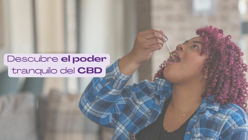 Integrando el CBD en Tu Rutina Diaria: Beneficios y Consejos Prácticos