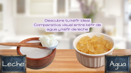 Kéfir de Agua vs. Kéfir de Leche: Explorando Sus Similitudes y Diferencias