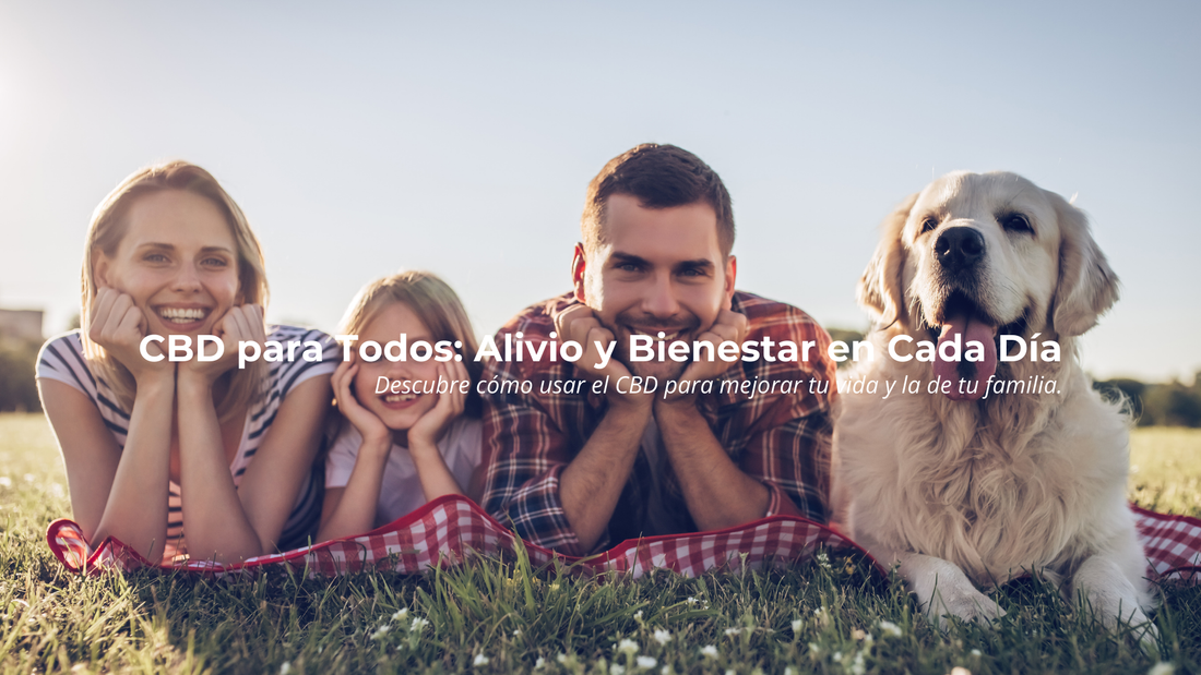 El CBD en tu Vida Diaria: Usos y Beneficios para Toda la Familia