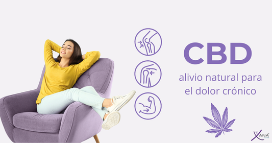 CBD para el dolor crónico: cómo puede ayudarte a aliviar molestias y mejorar tu bienestar