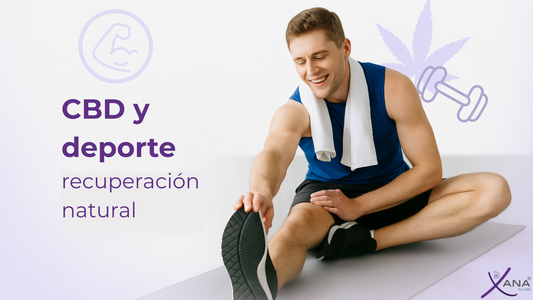 CBD y Deporte: Cómo Apoya la Recuperación Muscular de Forma Natural