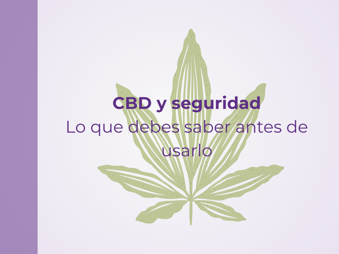 CBD y seguridad: lo que debes saber antes de usarlo