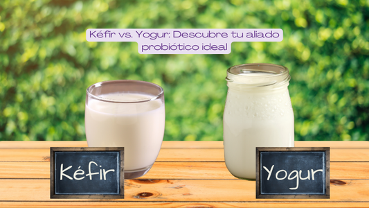 Kéfir de Leche vs. Yogur: Descubre Cuál es Mejor para Tu Salud