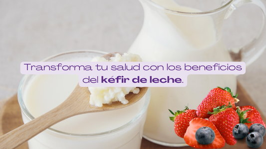 Beneficios de Incluir Kéfir de Leche en tu Dieta