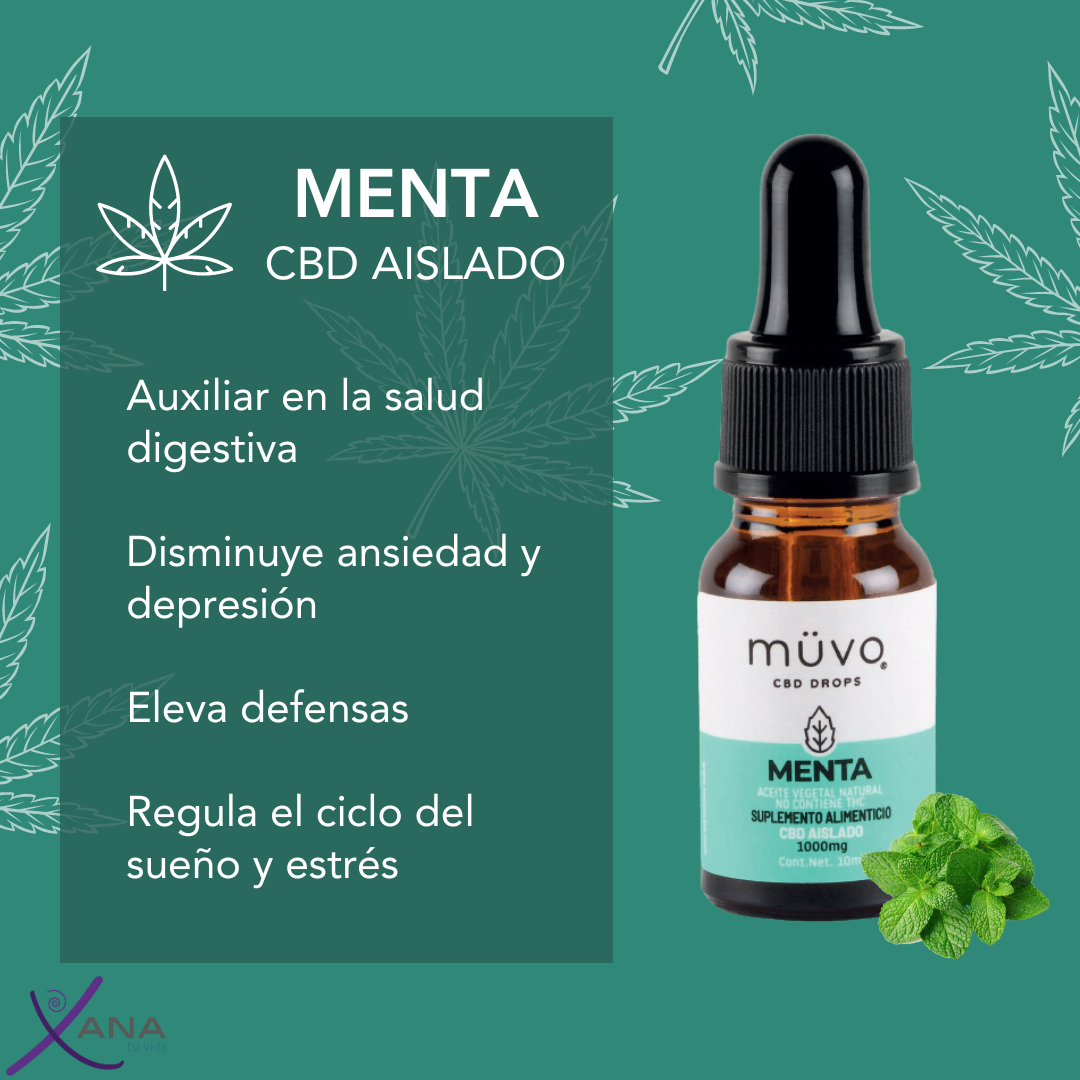 Drops Aislado Menta  - Frescura Natural para tu Bienestar