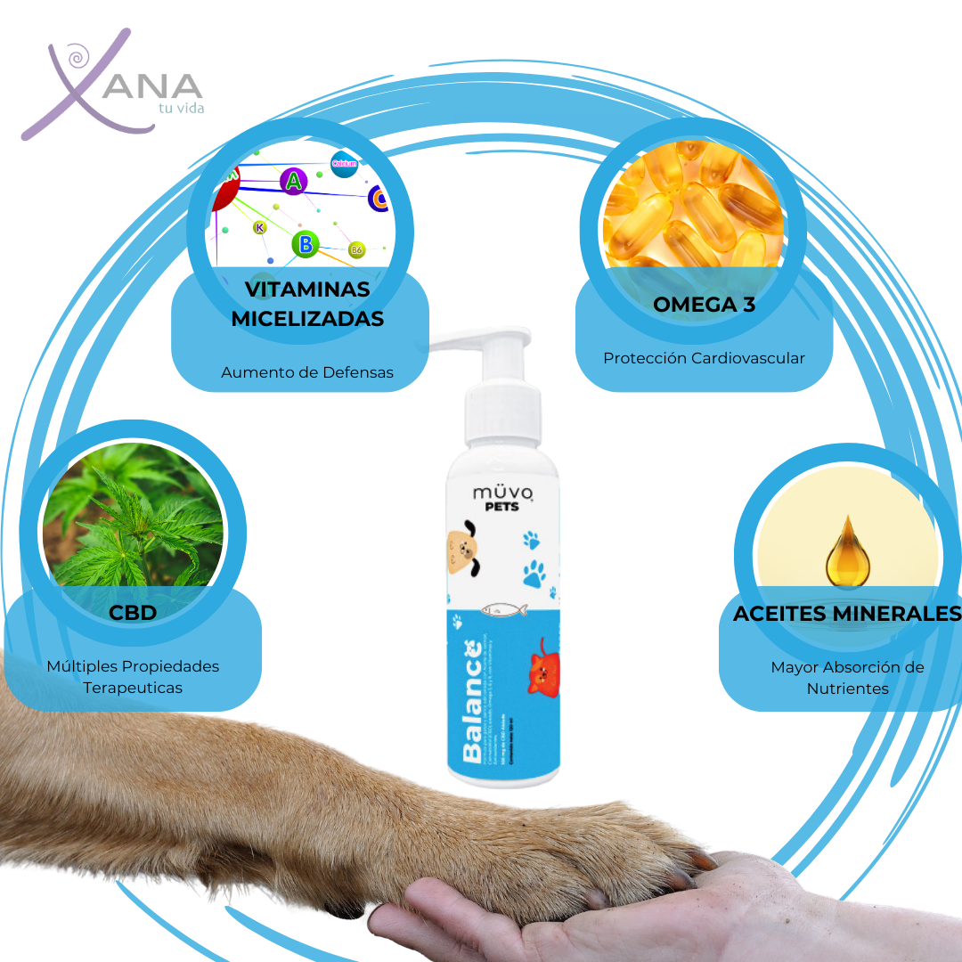 Balance Pets: Omega 3 y CBD. Salud y Vitalidad para Mascotas