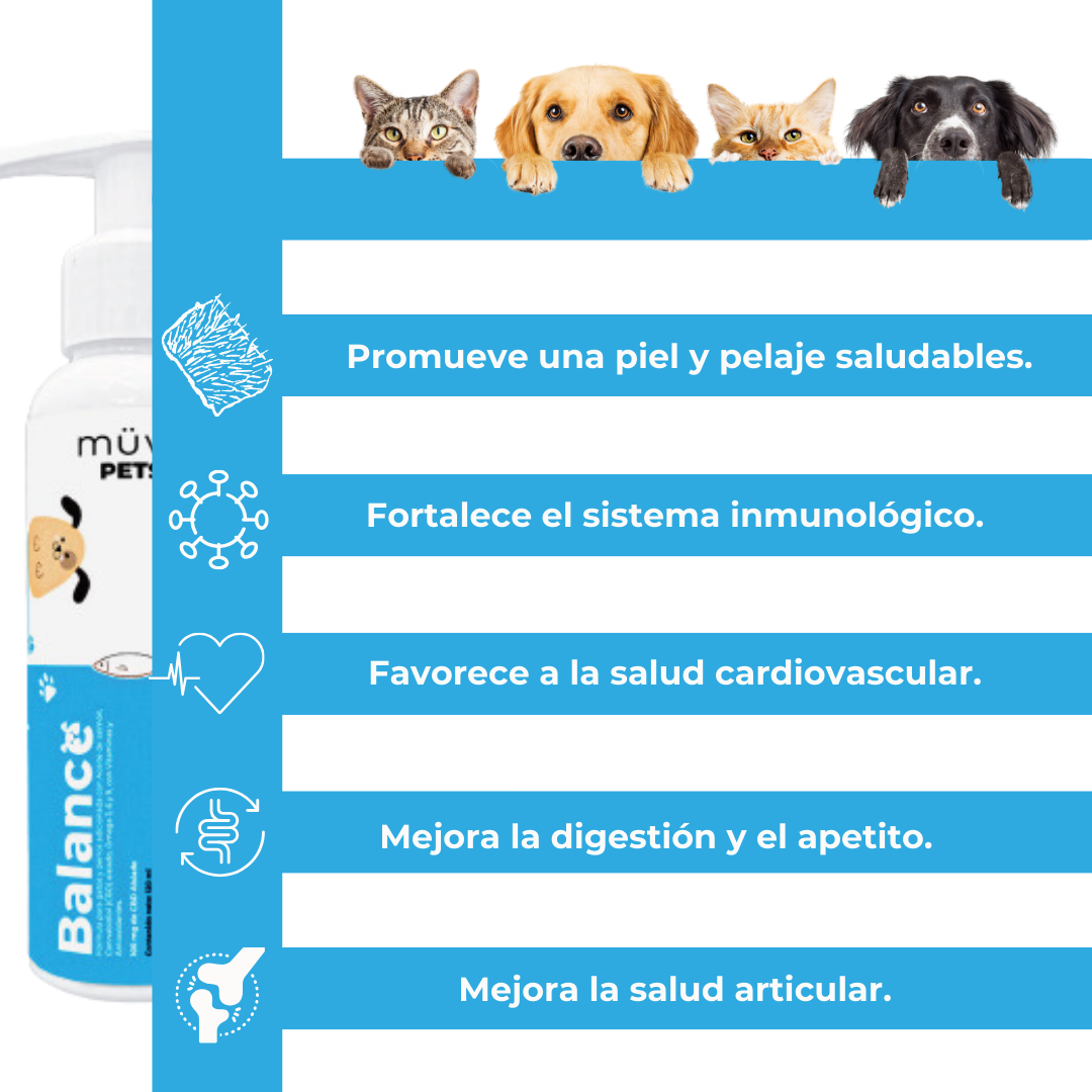 Balance Pets: Omega 3 y CBD. Salud y Vitalidad para Mascotas