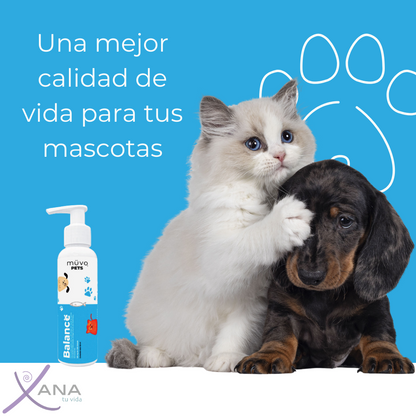 Balance Pets: Omega 3 y CBD. Salud y Vitalidad para Mascotas