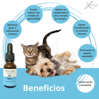 Drops Pets - Suplemento Natural para el Bienestar de Mascotas - 15 ml