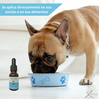 Drops Pets - Suplemento Natural para el Bienestar de Mascotas - 15 ml