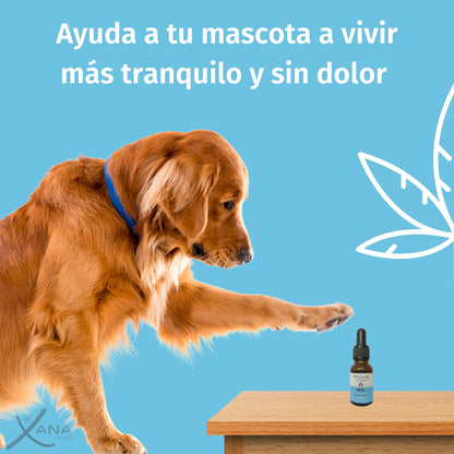 Drops Pets - Suplemento Natural para el Bienestar de Mascotas - 15 ml